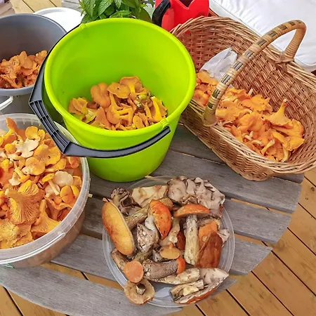 Awesome In With Kitchen