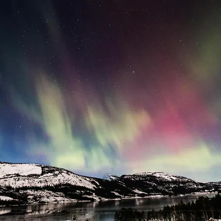 Awesome In With Kitchen Fyresdal