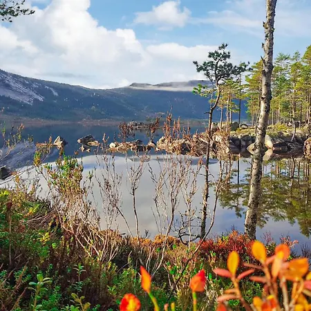 Awesome In With Kitchen